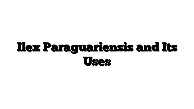 Ilex Paraguariensis and Its Uses