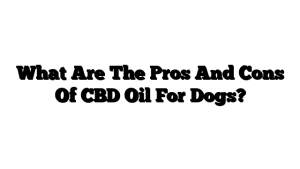 What Are The Pros And Cons Of CBD Oil For Dogs?
