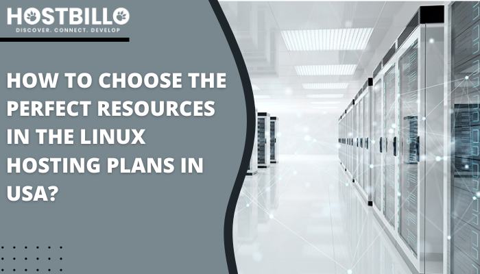 Linux Hosting Plans in USA